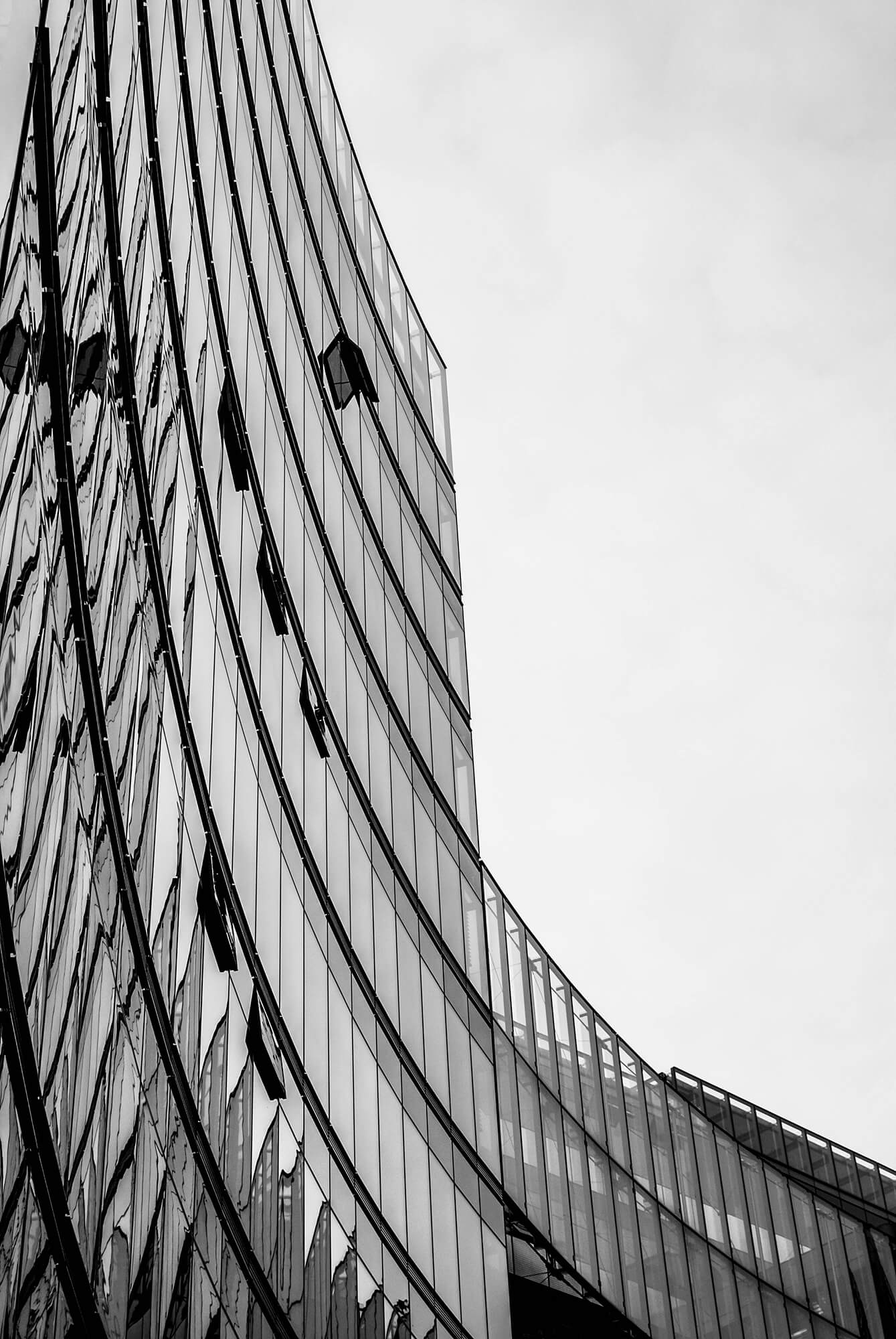 DSC_0248
