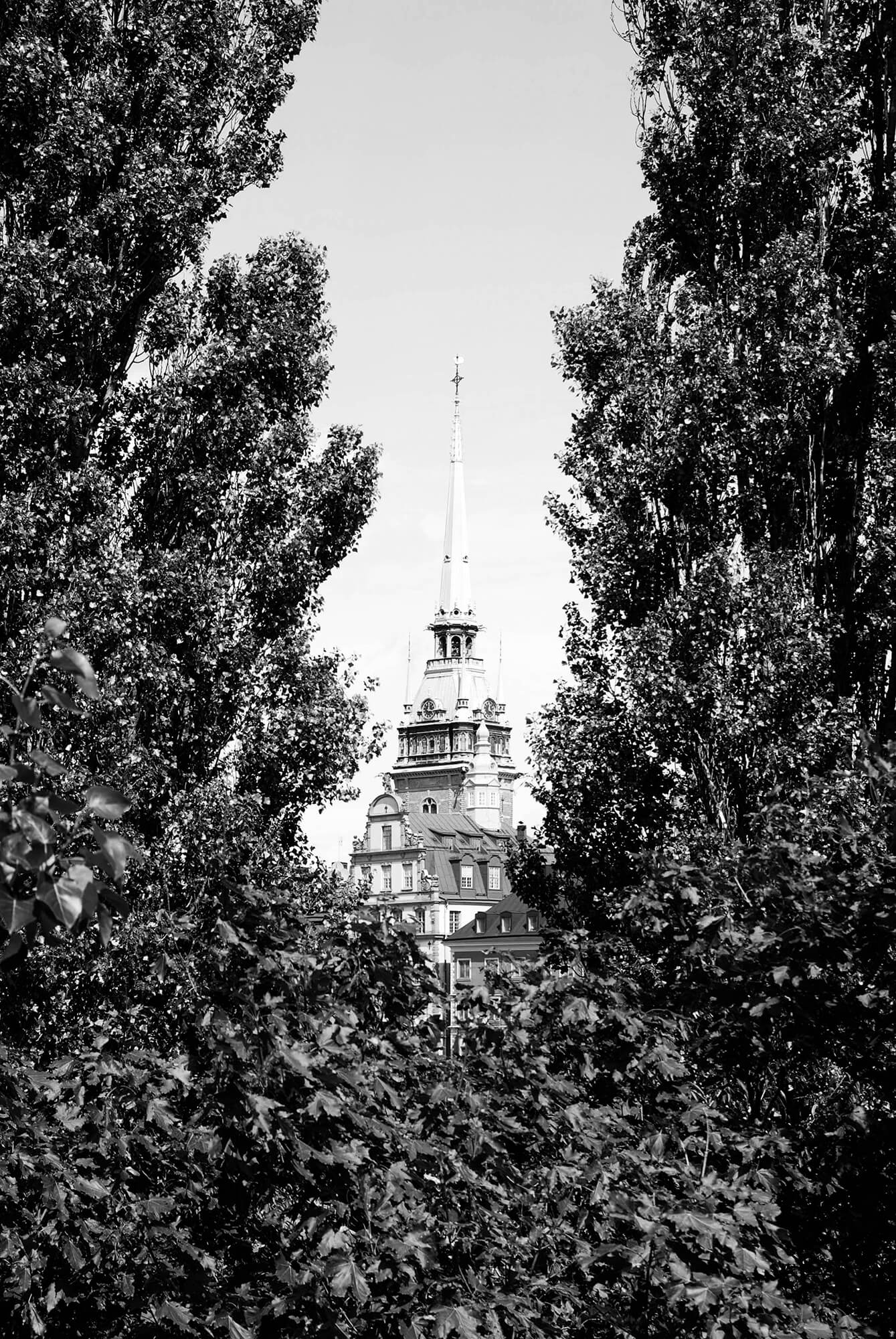 DSC_0334