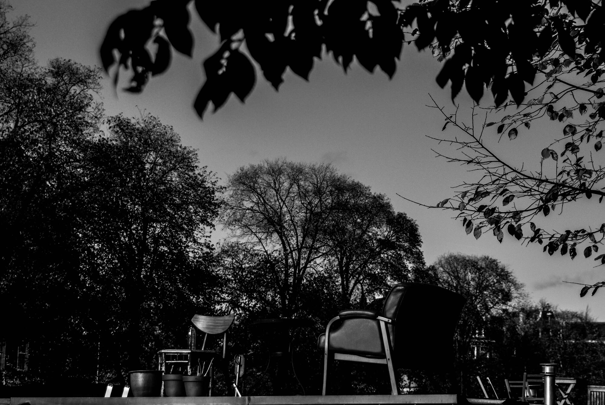 DSC_0615
