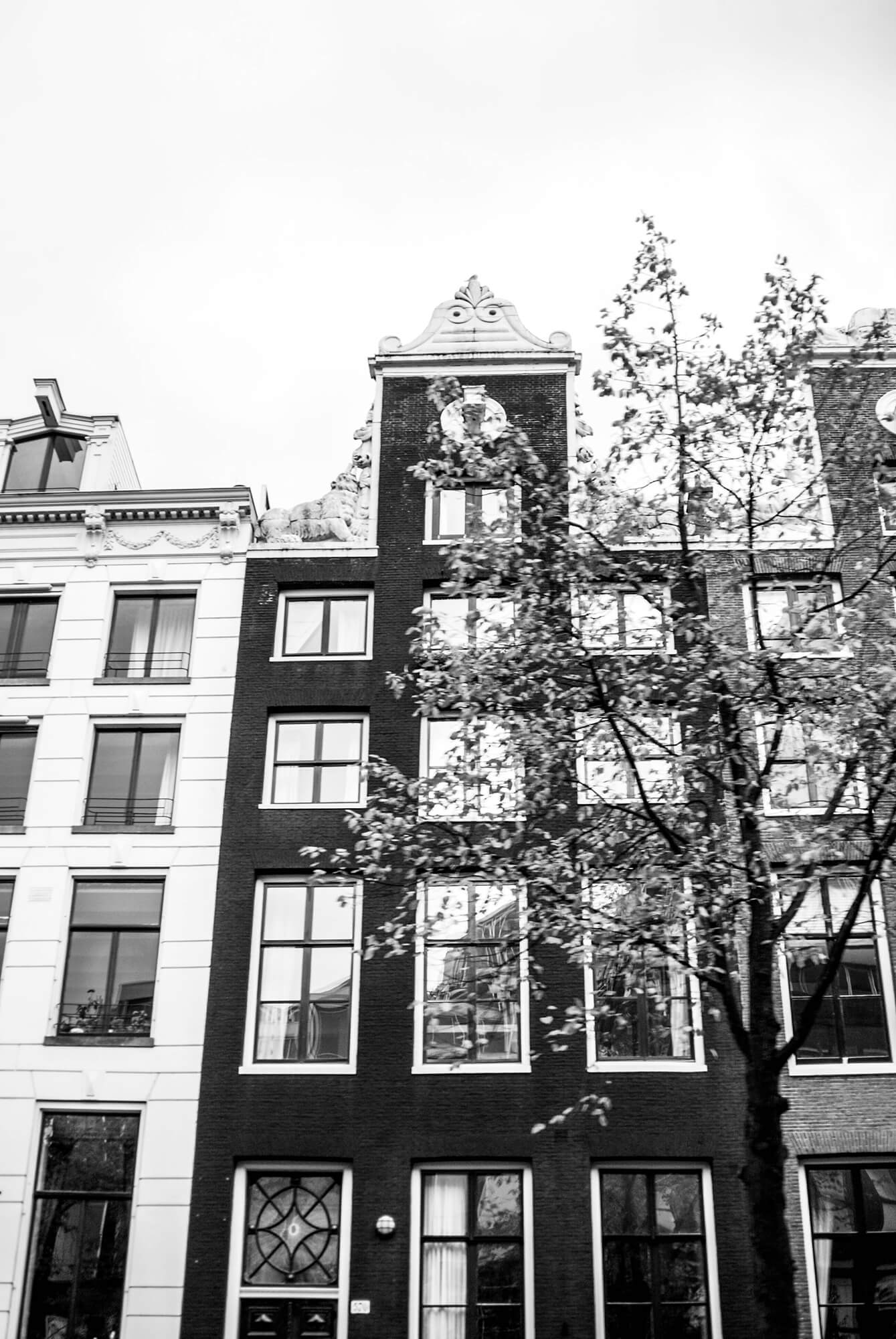 DSC_0657