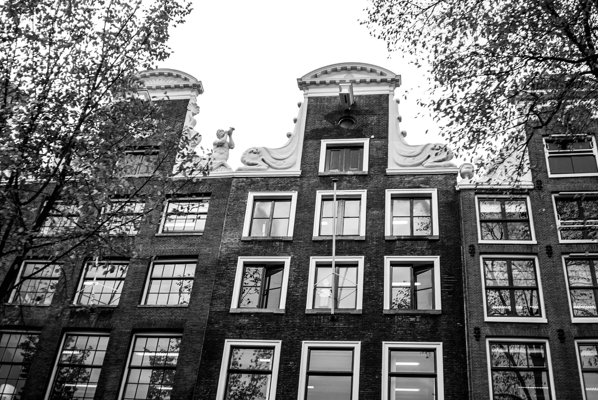 DSC_0667