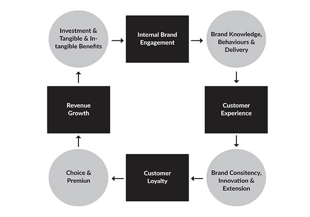 modelos_hospital_brand