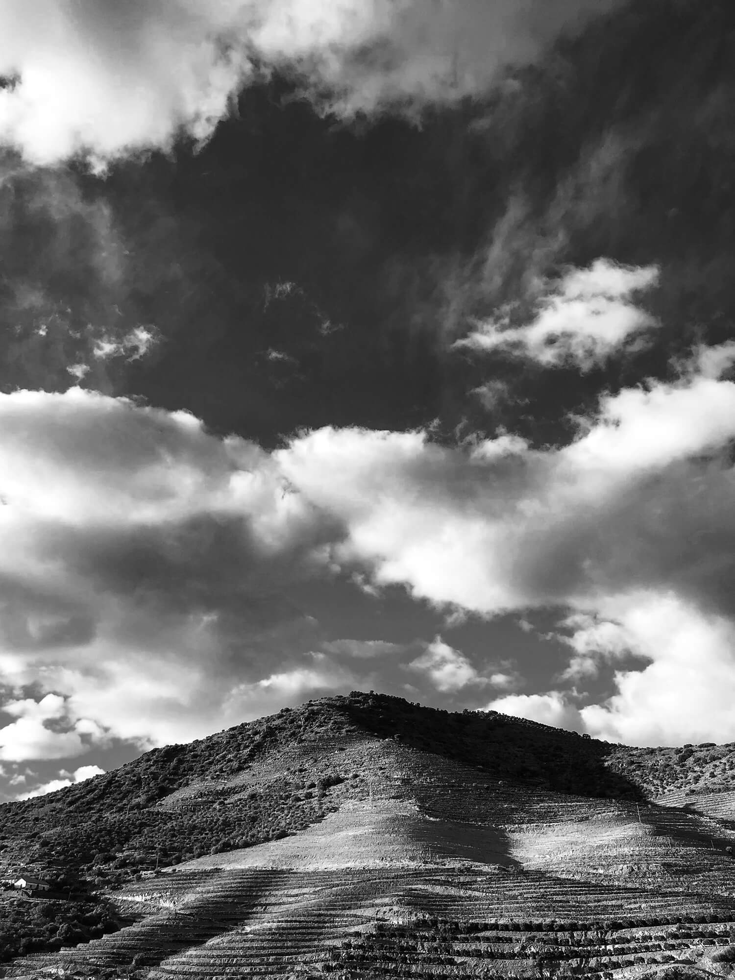 IMG_2426