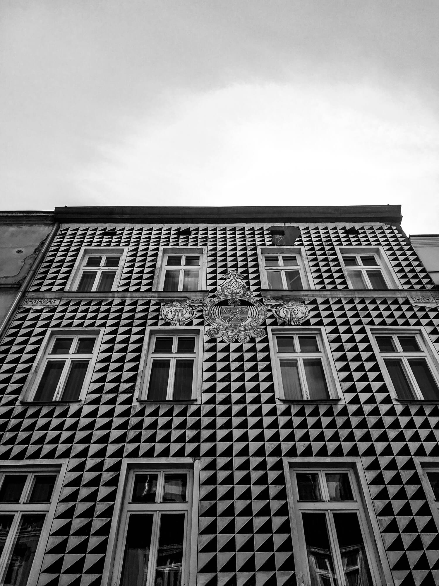 IMG_6309