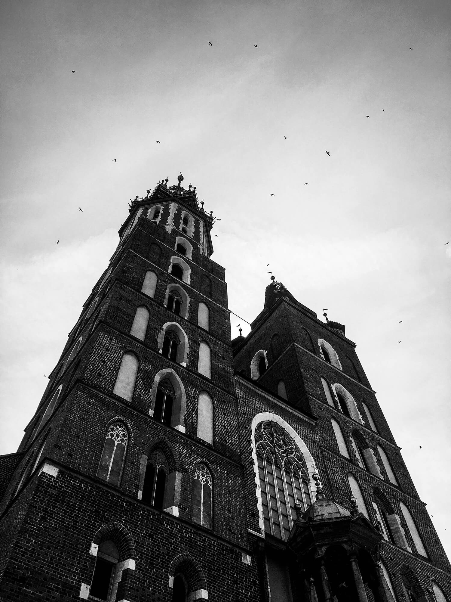IMG_6313
