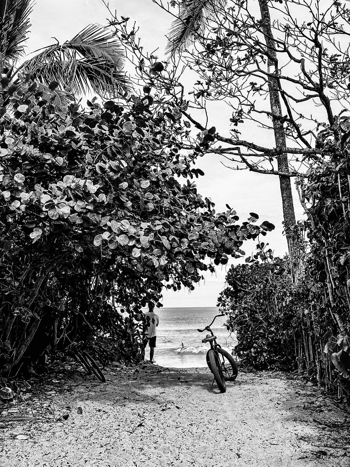 IMG_1448