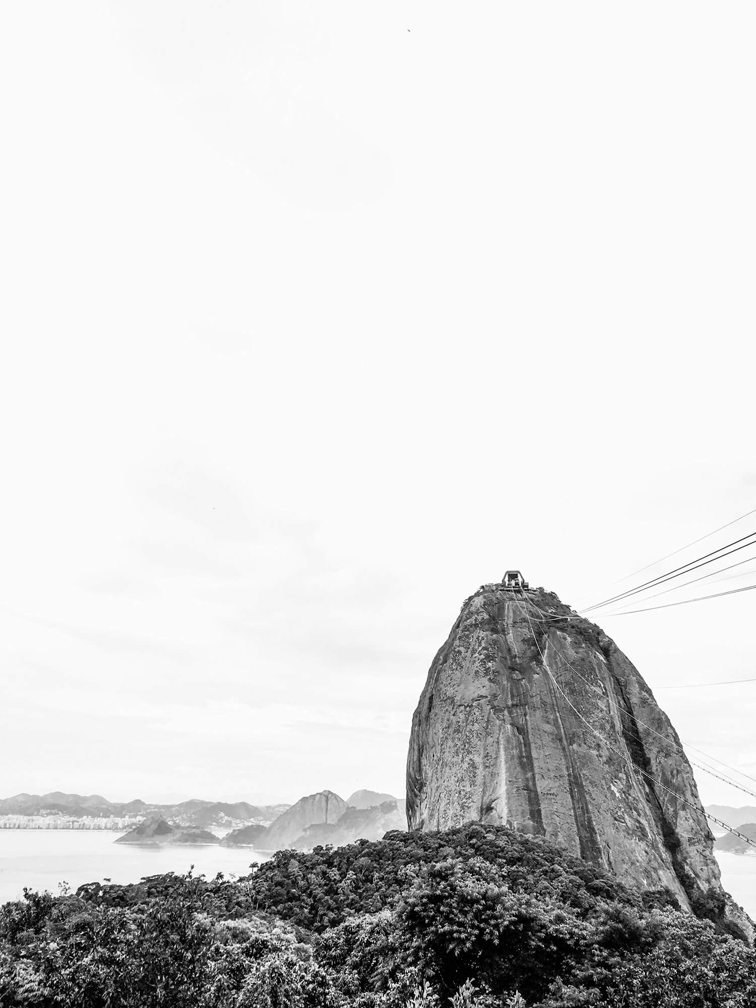 IMG_9520%202