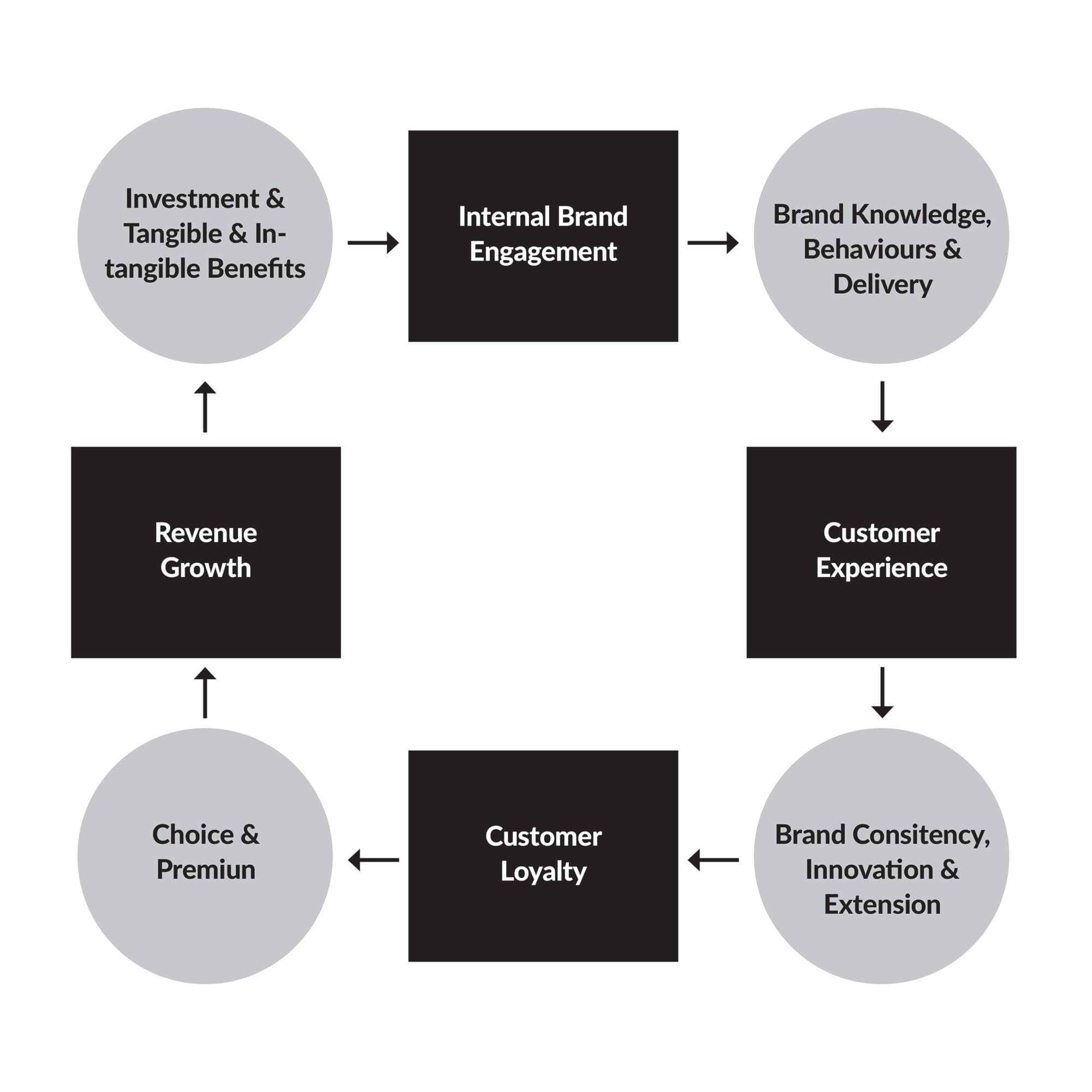modelos_hospital_brand